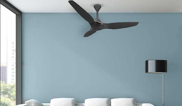 Ceiling Fans