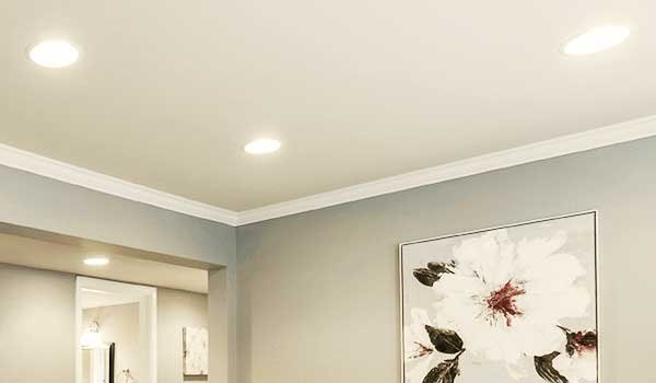 Ceiling LED Lights